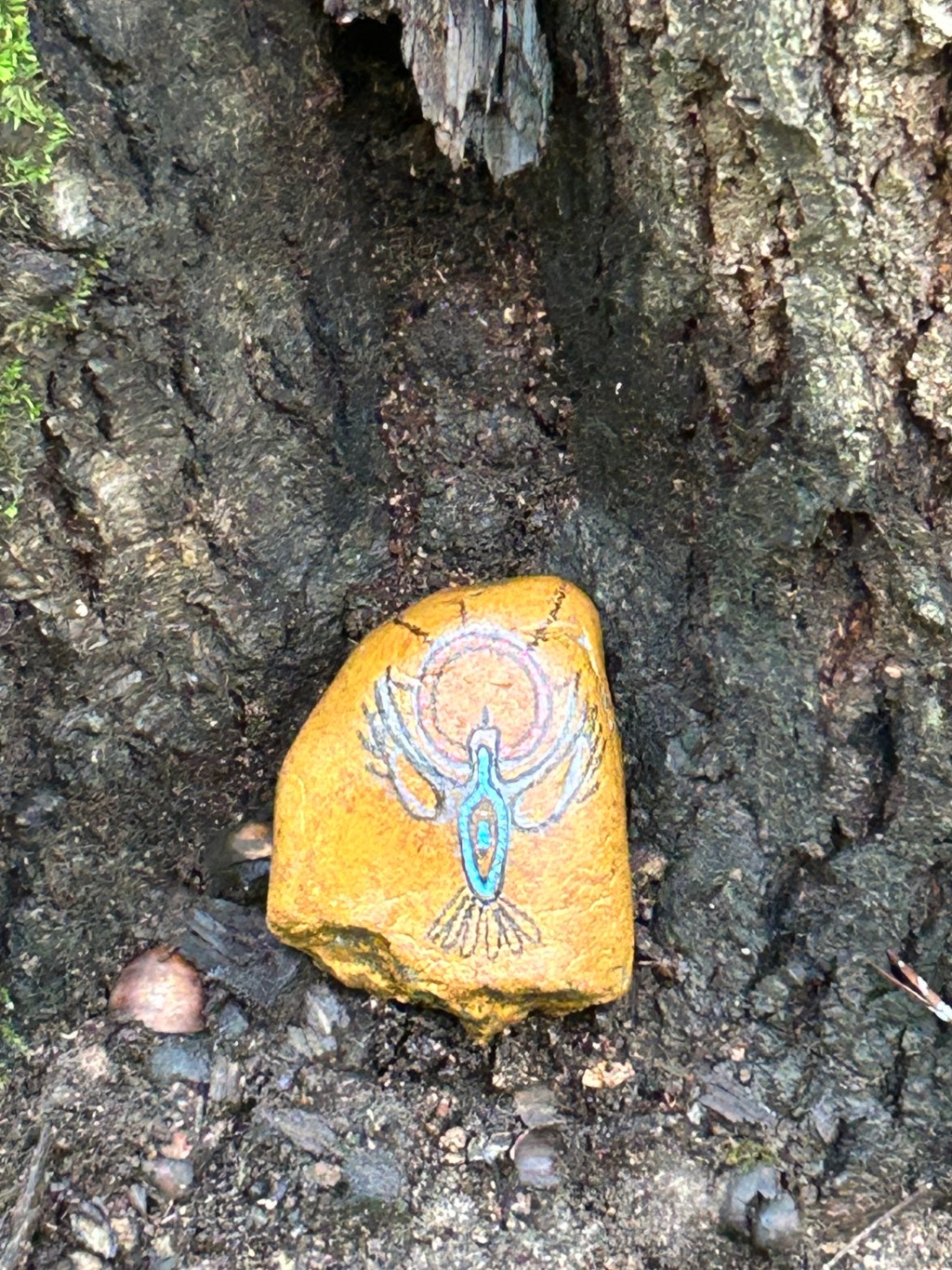 Hiking Carterville Loop